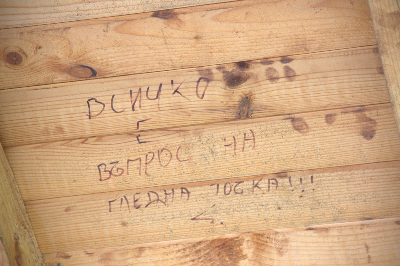 Мъдър графит от Берковица